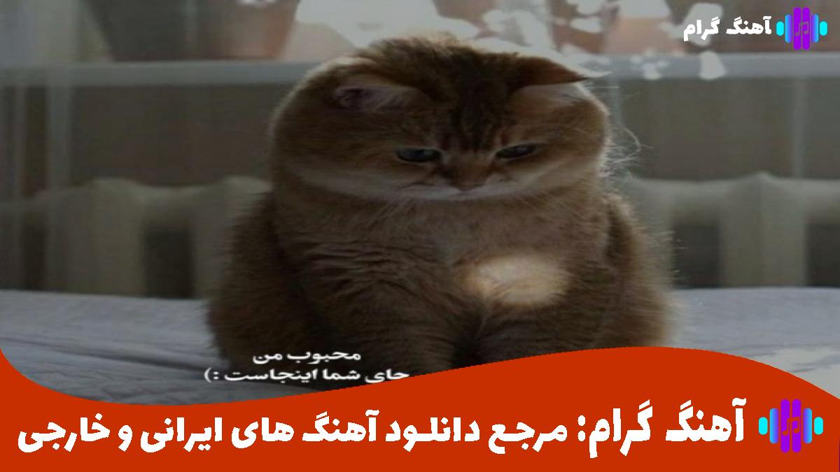 کاور آهنگ شمارمو داری پس زنگ بزن اگه بود کاری از 